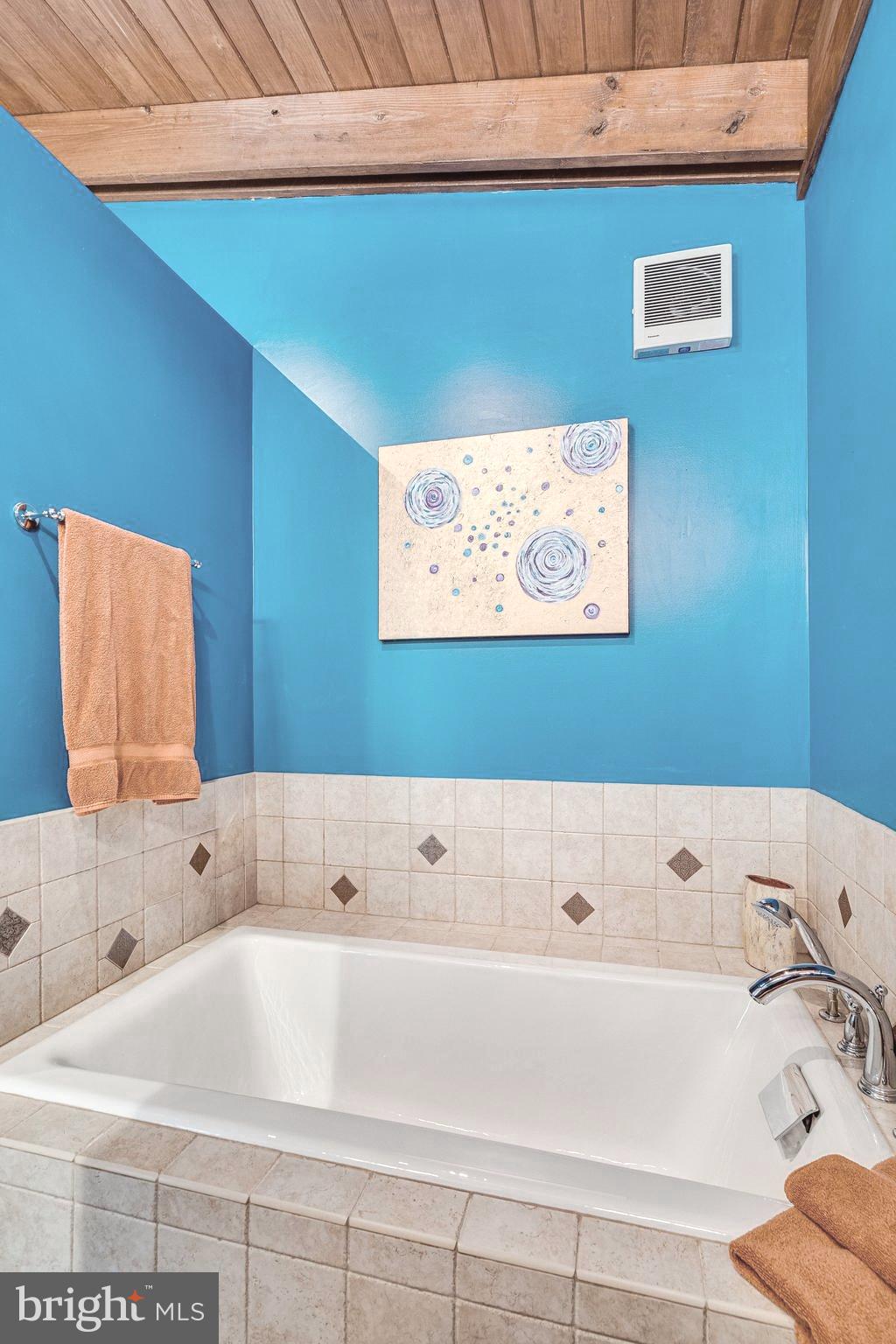 2925 Pine Spring Road Falls Church, VA 22042 - Photo 34 of 67 Owner's soaking tub