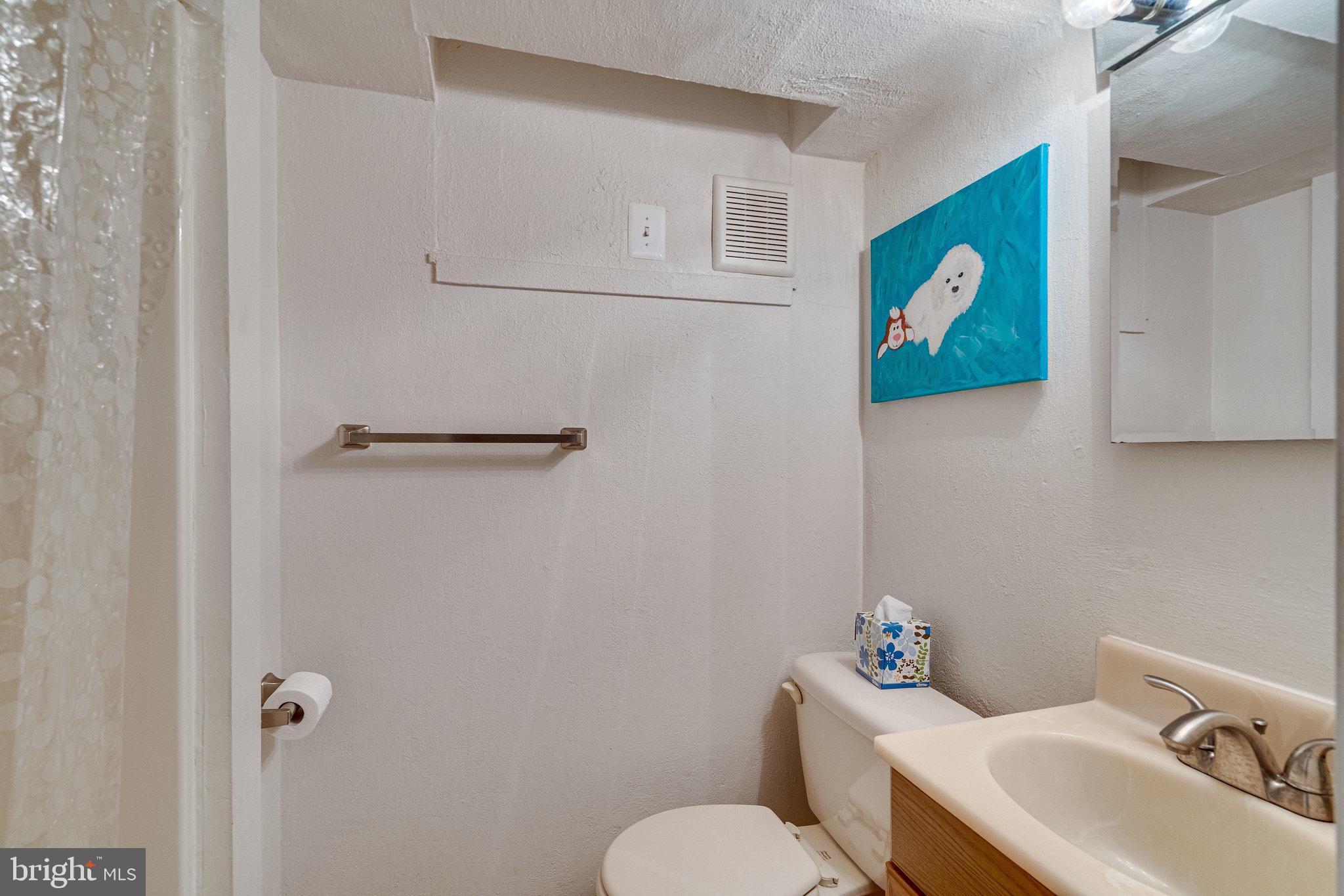 2925 Pine Spring Road Falls Church, VA 22042 - Photo 54 of 67 3rd full bath on lower level