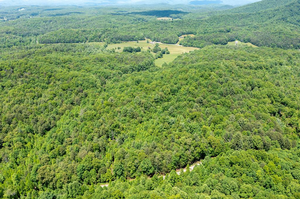 4.2-acre Donley Road Murphy, NC 28906 - Photo 22 of 32 a view of a big yard with lots of green space