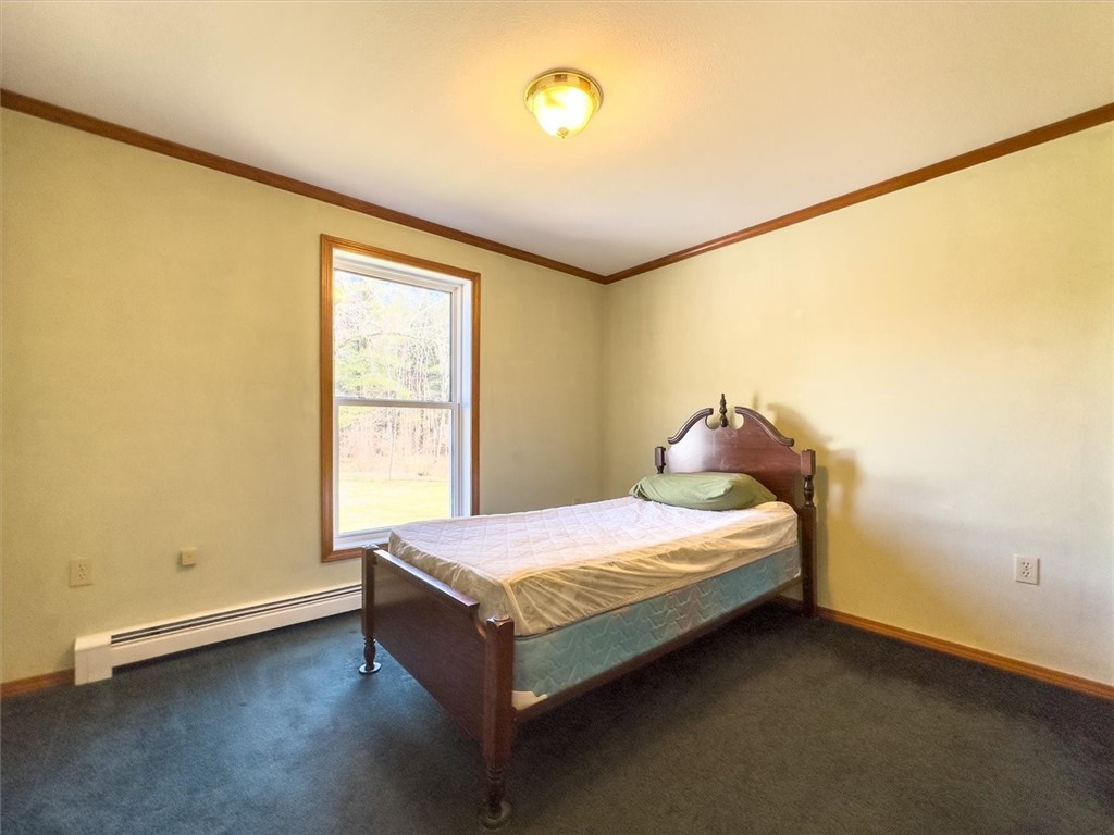 6861 Bishop Road Conesus, NY 14435 - Photo 25 of 50