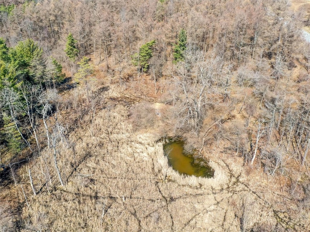 6861 Bishop Road Conesus, NY 14435 - Photo 4 of 50