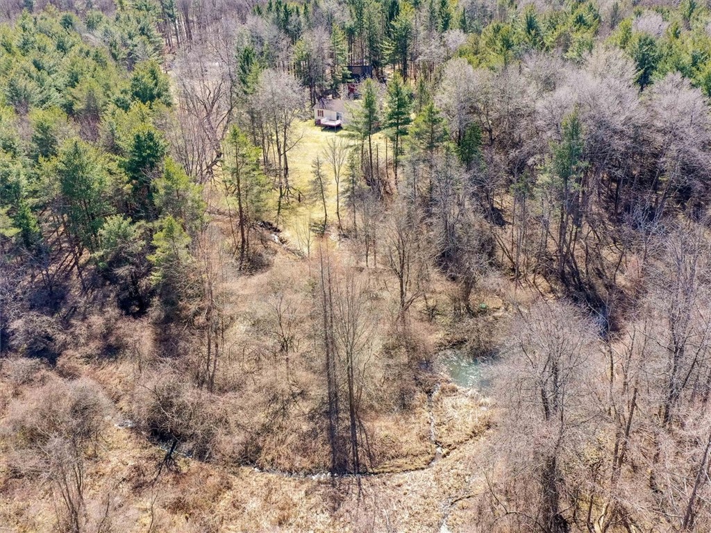 6861 Bishop Road Conesus, NY 14435 - Photo 46 of 50