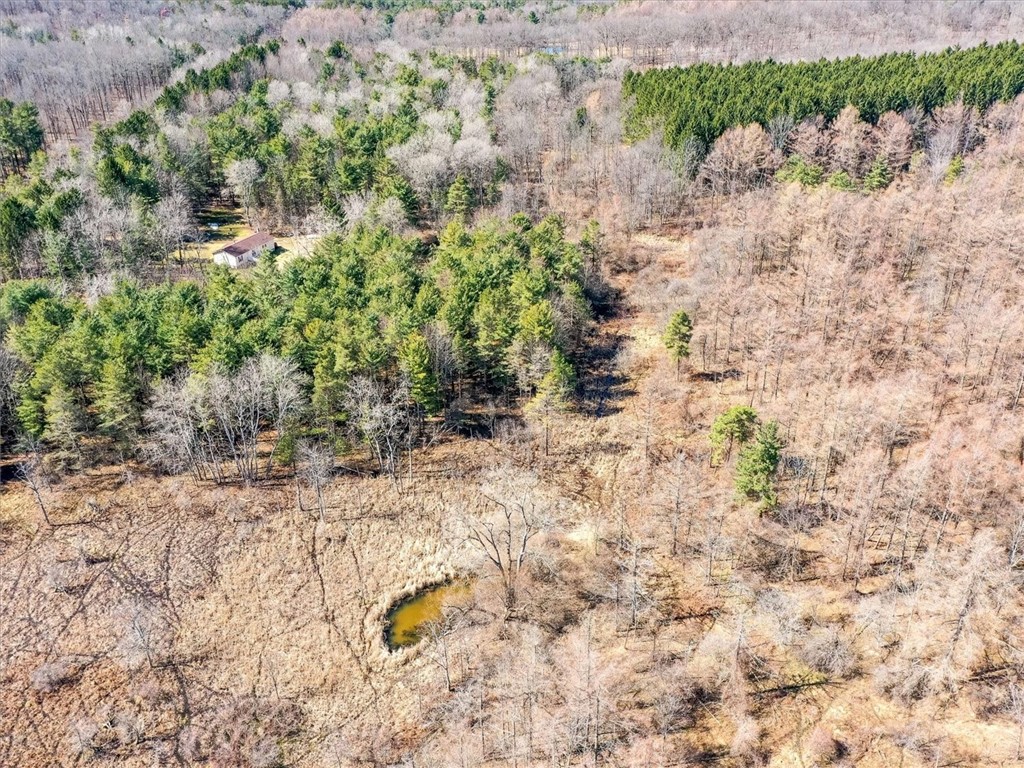 6861 Bishop Road Conesus, NY 14435 - Photo 48 of 50