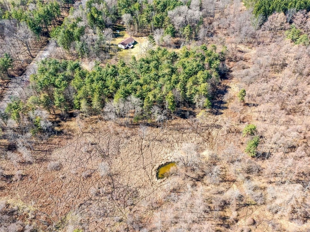 6861 Bishop Road Conesus, NY 14435 - Photo 49 of 50