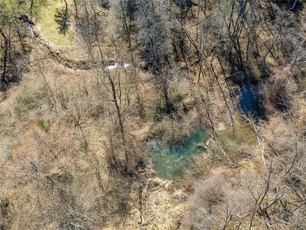 6861 Bishop Road Conesus, NY 14435 - Photo 5 of 50