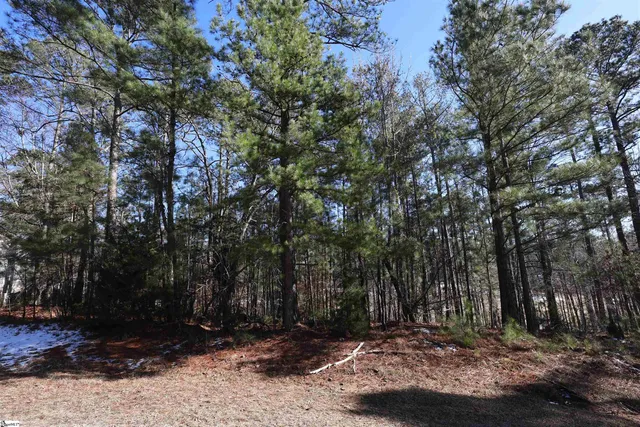 $30,000 | 212 Amelia Drive, McCormick, SC 29835