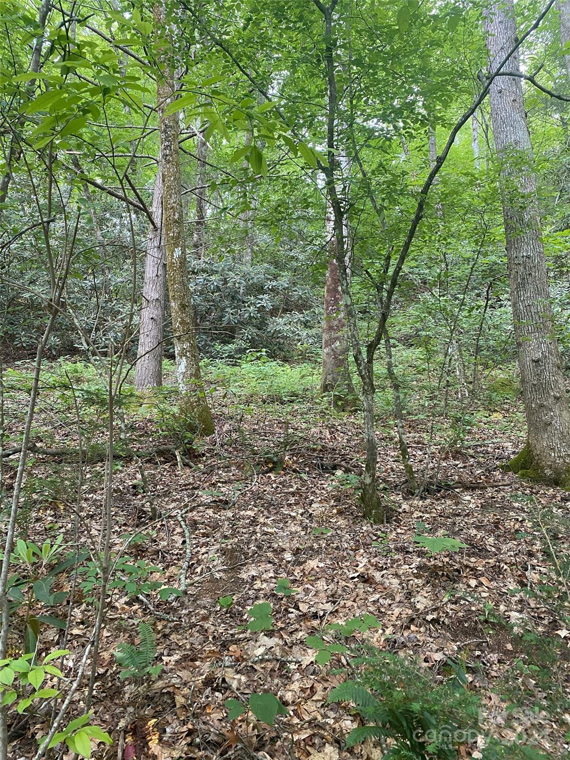 0 Cedar Creek Road, Unit 61 Lake Lure, NC 28746 - Photo 3 of 12