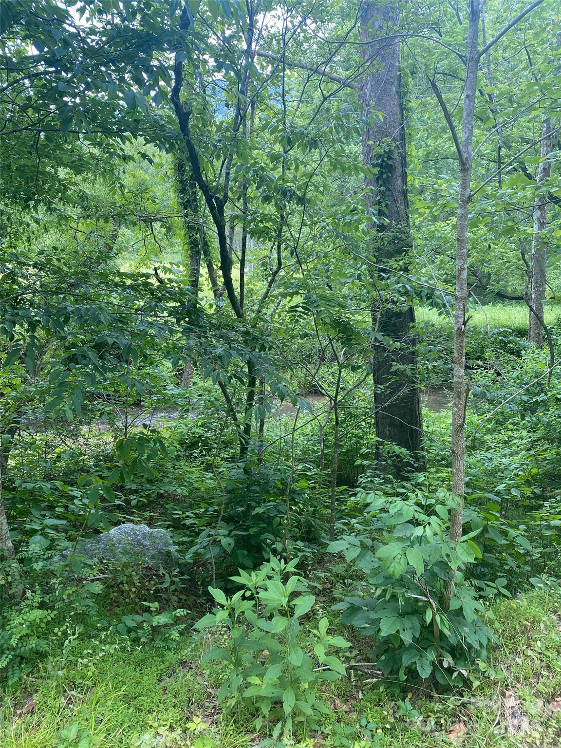 0 Cedar Creek Road, Unit 61 Lake Lure, NC 28746 - Photo 7 of 12