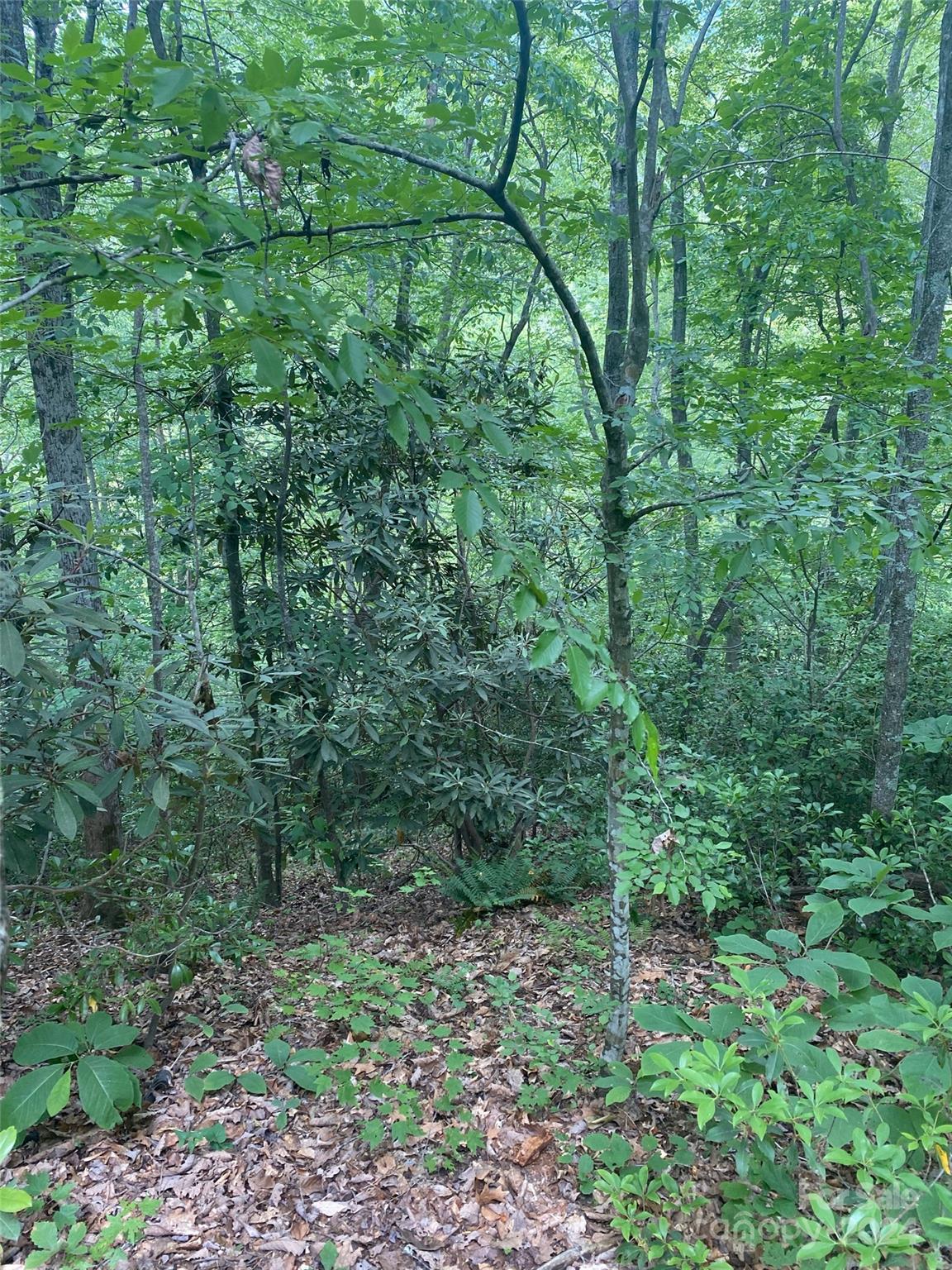 0 Cedar Creek Road, Unit 61 Lake Lure, NC 28746 - Photo 10 of 12