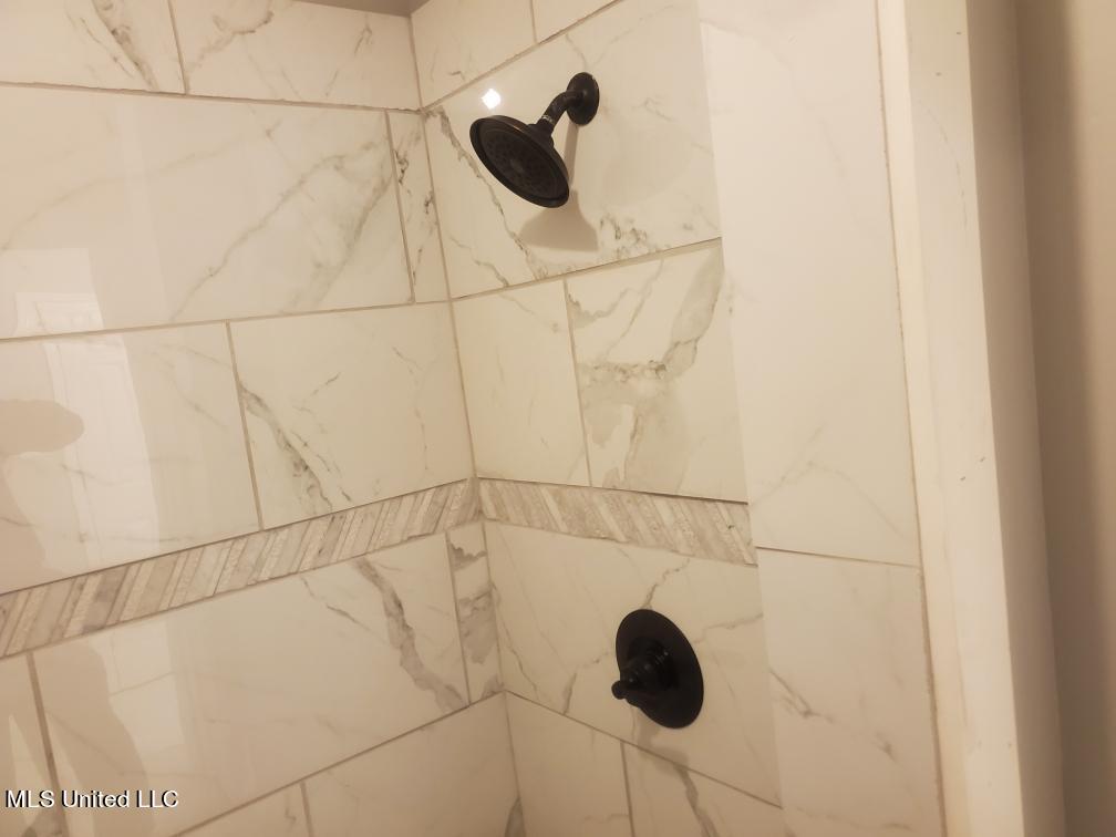 1537 Taska Road Red Banks, MS 38661 - Photo 11 of 14 Primary Bathroom