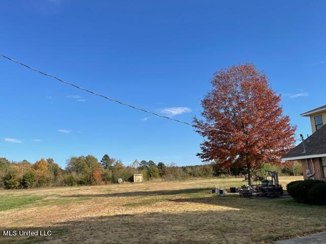 1537 Taska Road Red Banks, MS 38661 - Photo 3 of 14 Backyard