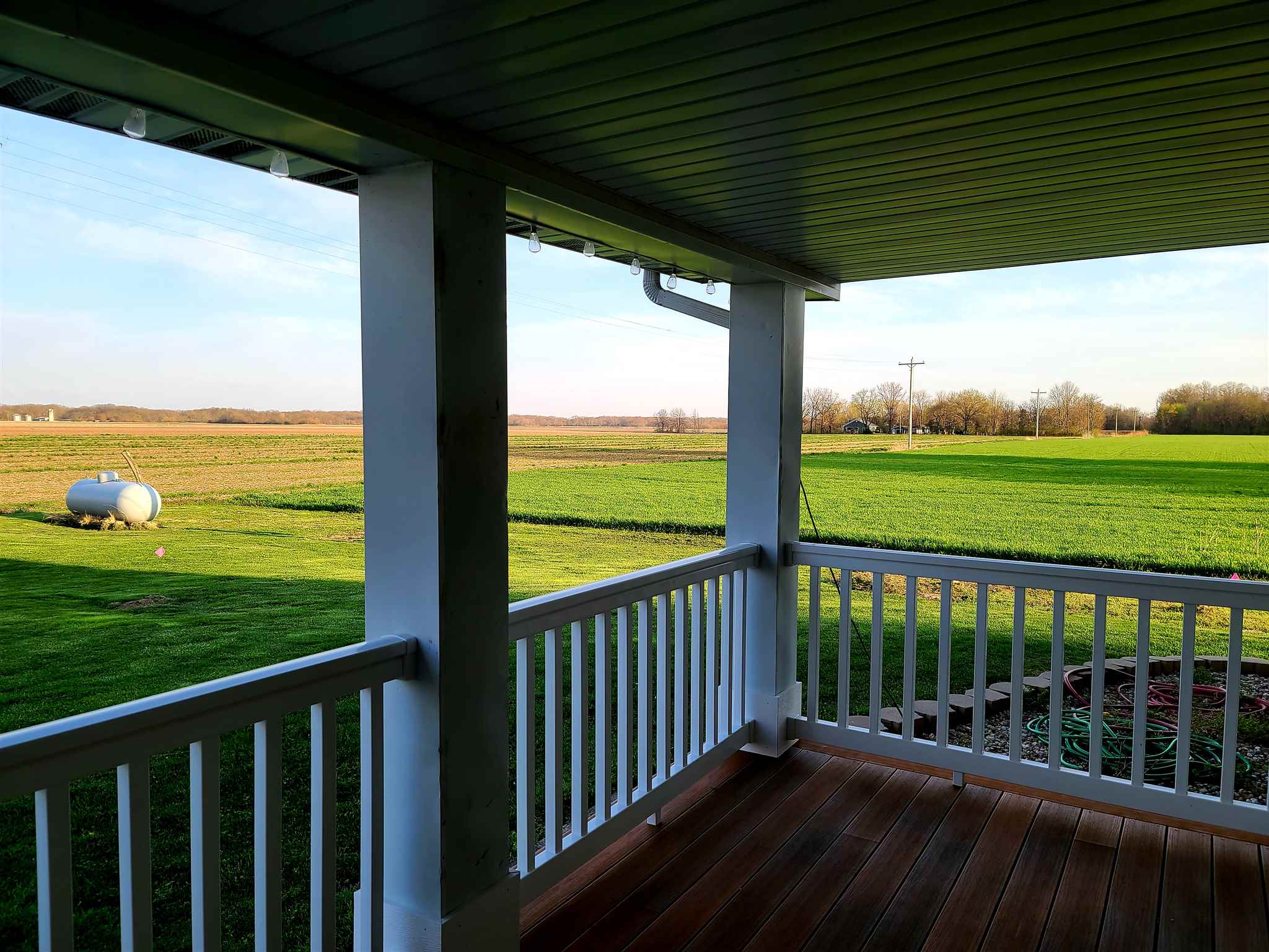 10521 Rinaker Road Carlinville, IL 62626 - Photo 9 of 47