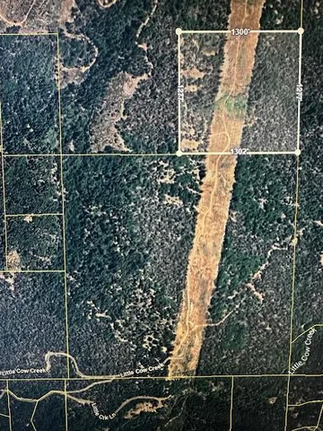 a view of a backyard of the house