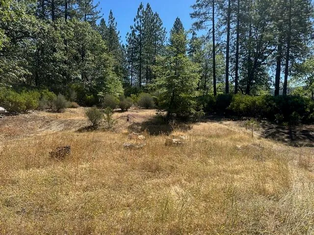 a view of empty yard