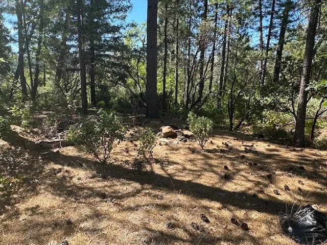 $89,000 | Little Creek40 Lane, Oak Run, CA 96069