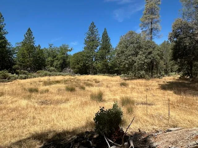 $89,000 | Little Creek40 Lane, Oak Run, CA 96069