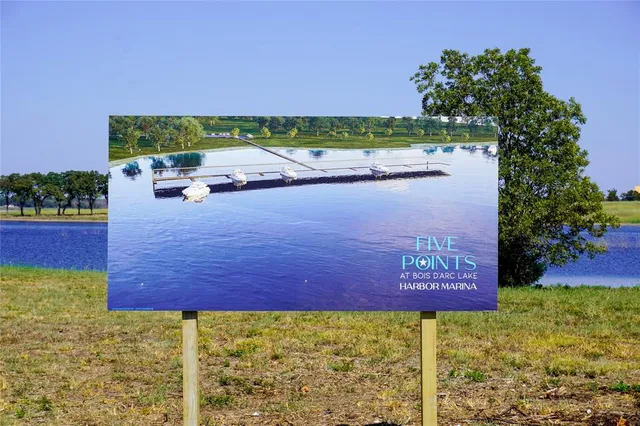 a view of backyard with tree