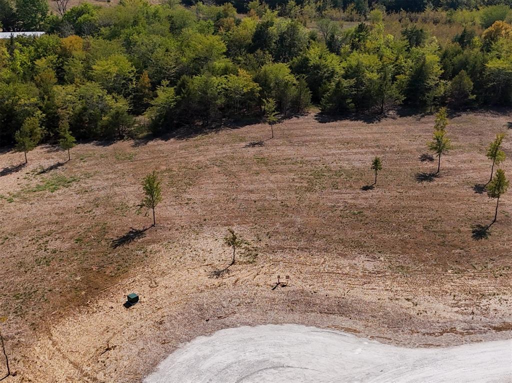 Lot 142 Timberland Heights Windom, TX 75446 - Photo 6 of 13 a view of a dry yard covered with snow