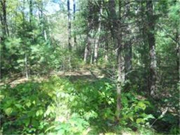 89.01 Michael Sears Road Belchertown, MA 01007 - Photo 5 of 8 Gallery Image 5