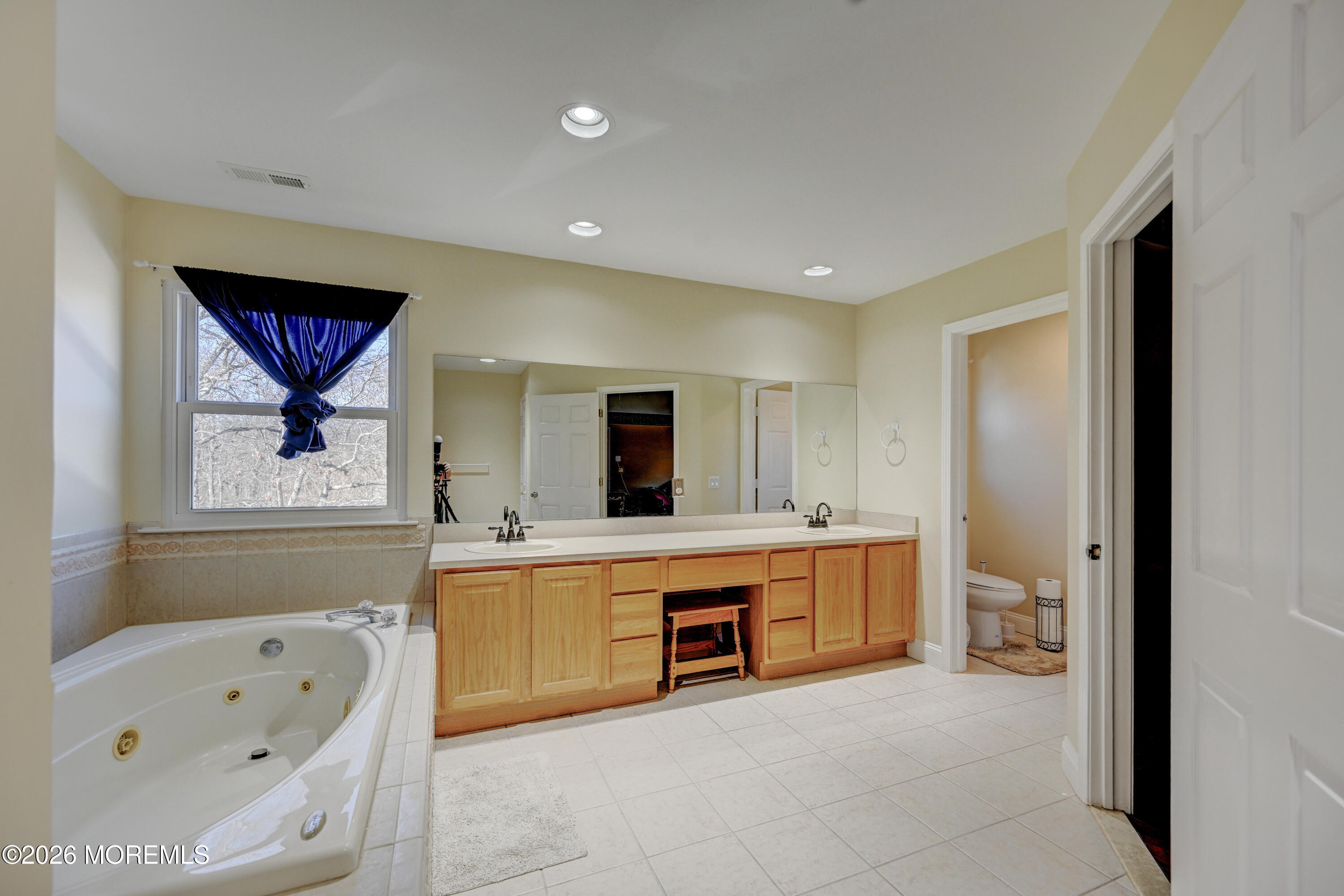 435 Vath Street Jackson, NJ 08527 - Photo 29 of 59 a large bathroom with a tub sink and mirror