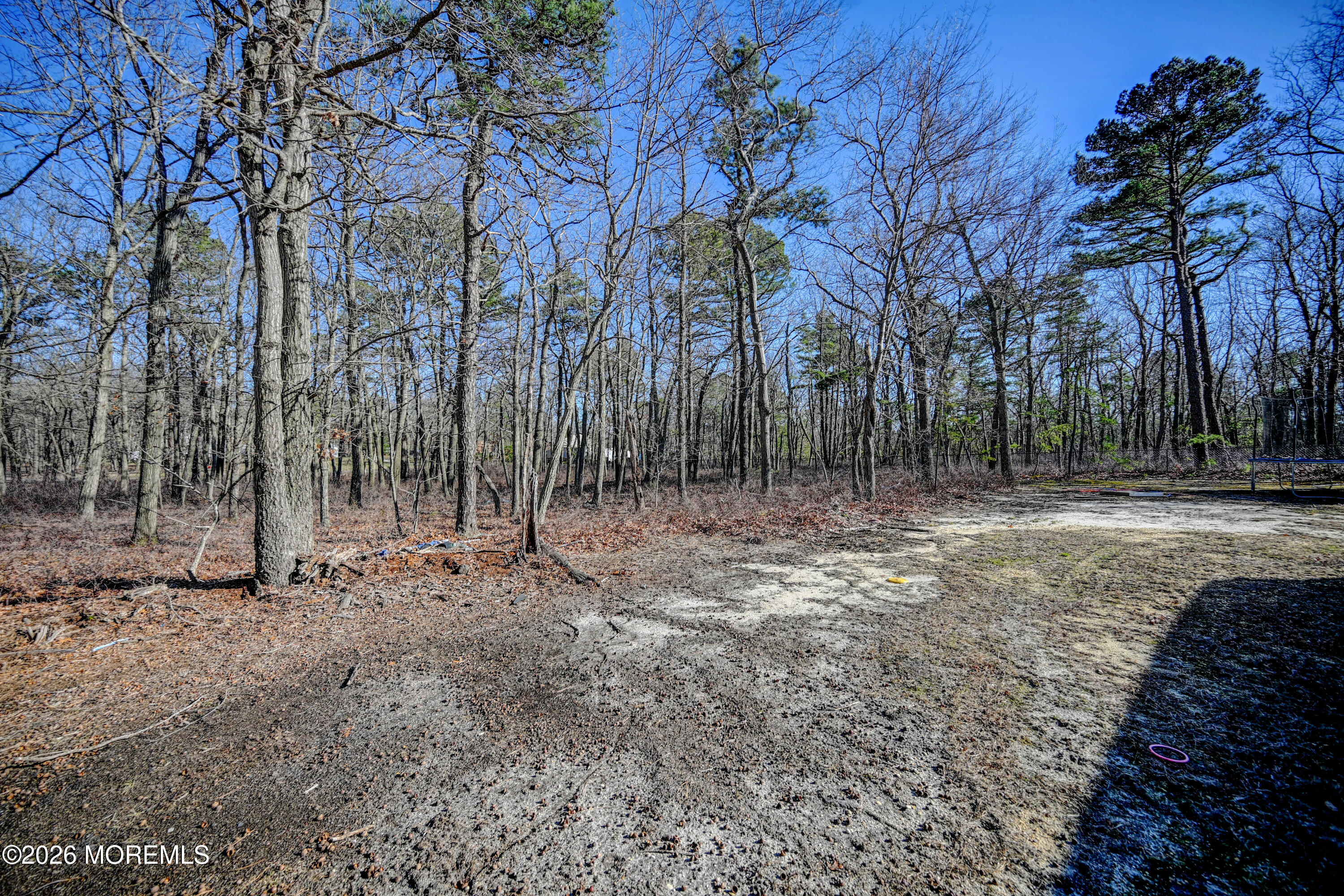 435 Vath Street Jackson, NJ 08527 - Photo 54 of 59 a backyard of a house with lots of green space