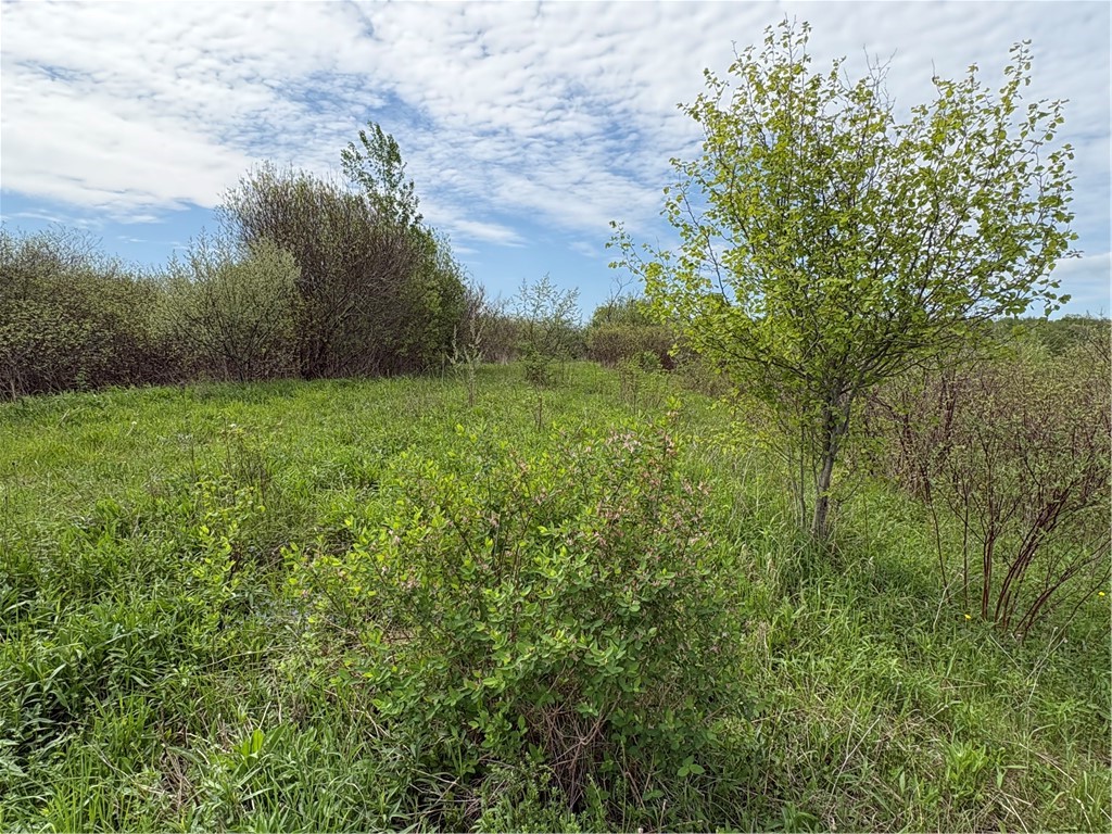 Wahlberg Road Guilford, NY 13780 - Photo 12 of 25