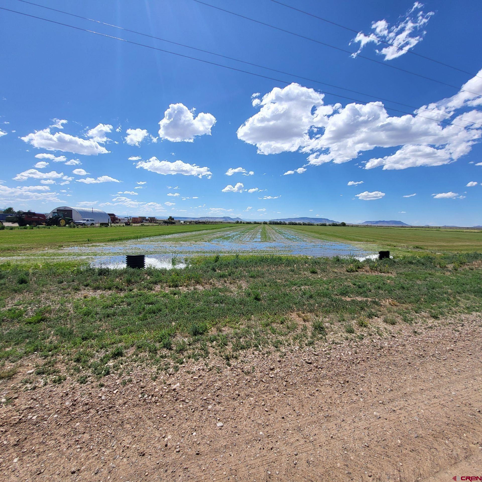9227 County Rd C Jaroso, CO 81138 - Photo 11 of 28 a view of a big yard with lots of green space