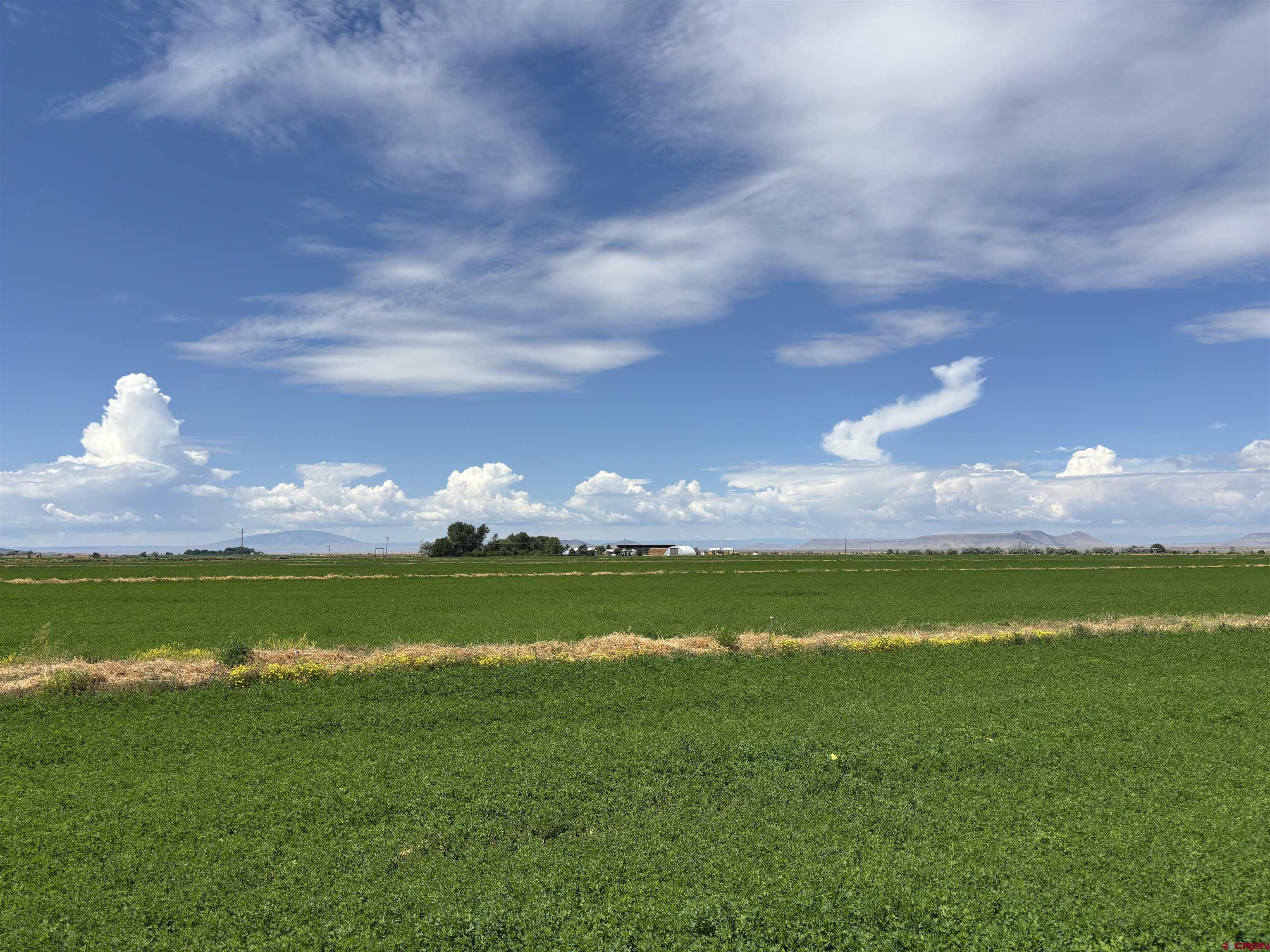 9227 County Rd C Jaroso, CO 81138 - Photo 17 of 28 a view of a house with a big yard