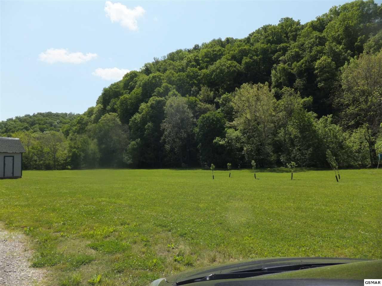 889 Marshall Hollow Road Bybee, TN 37713 - Photo 14 of 24 Gallery Image 14