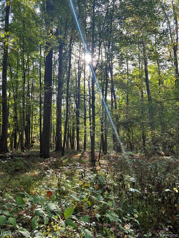 0 Chapman Road Stockbridge, MI 49285 - Photo 11 of 20