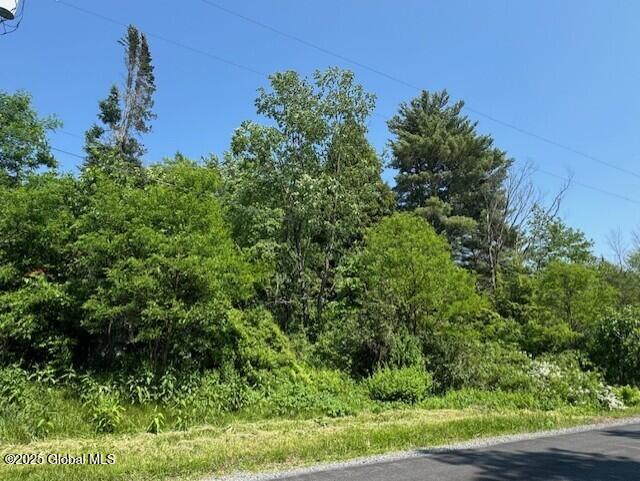 185 Finley Road Milton, NY 12020 - Photo 3 of 4 finley 2