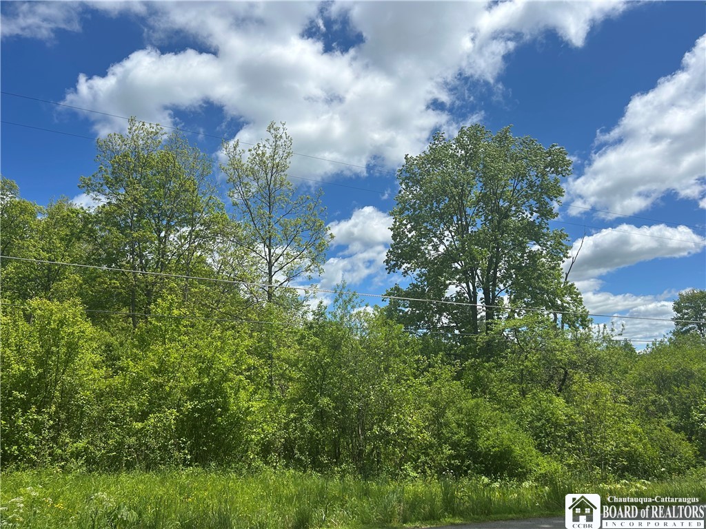 Belleview Road East Bemus Point, NY 14712 - Photo 5 of 6