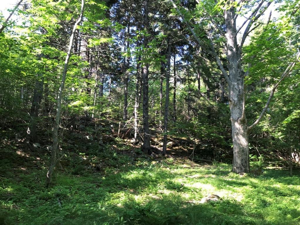 0 Turner Road Seal Cove, ME 04674 - Photo 23 of 41 Photo