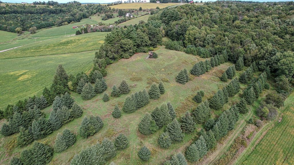29574 Outlook Road Elroy, WI 53929 - Photo 17 of 72 Gallery Image 17