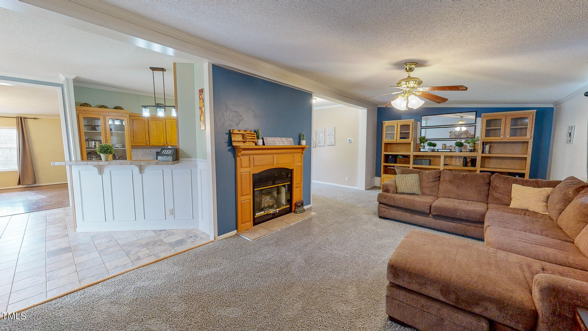 733 Oliver Loop Road Roxboro, NC 27574 - Photo 2 of 28 a living room with furniture and a fireplace