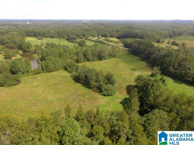 0 State Lake Road, Unit 31 ACRES Lineville, AL 36266 - Photo 11 of 15