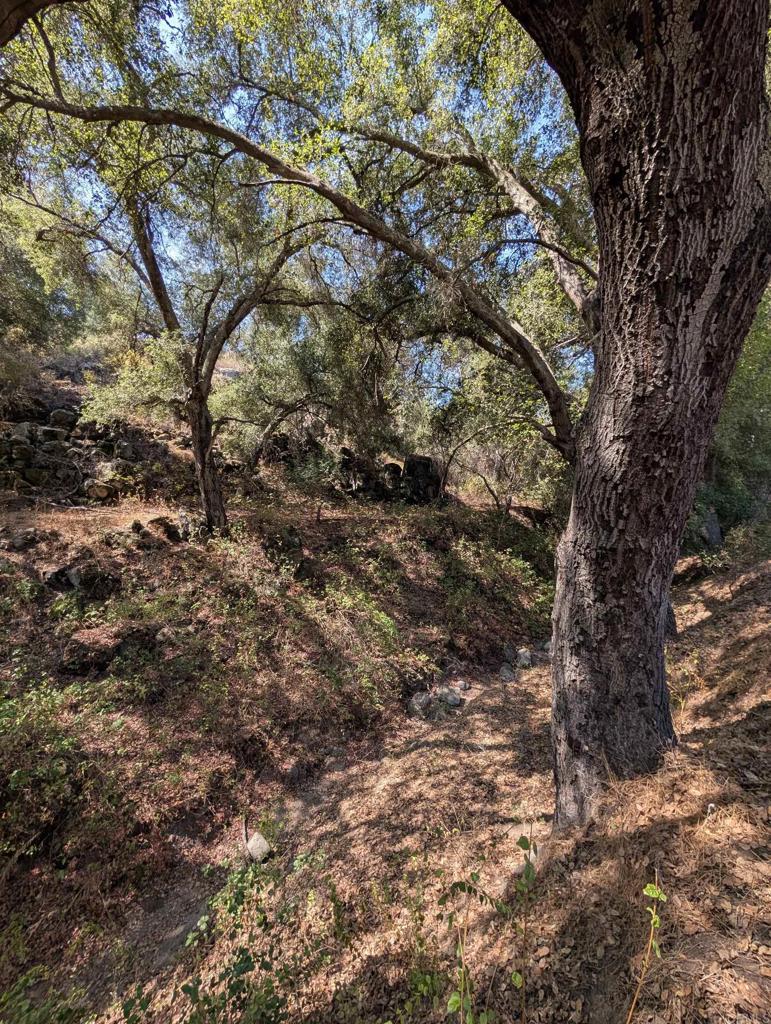18868 Paradise Mountain Road Valley Center, CA 92082 - Photo 31 of 33