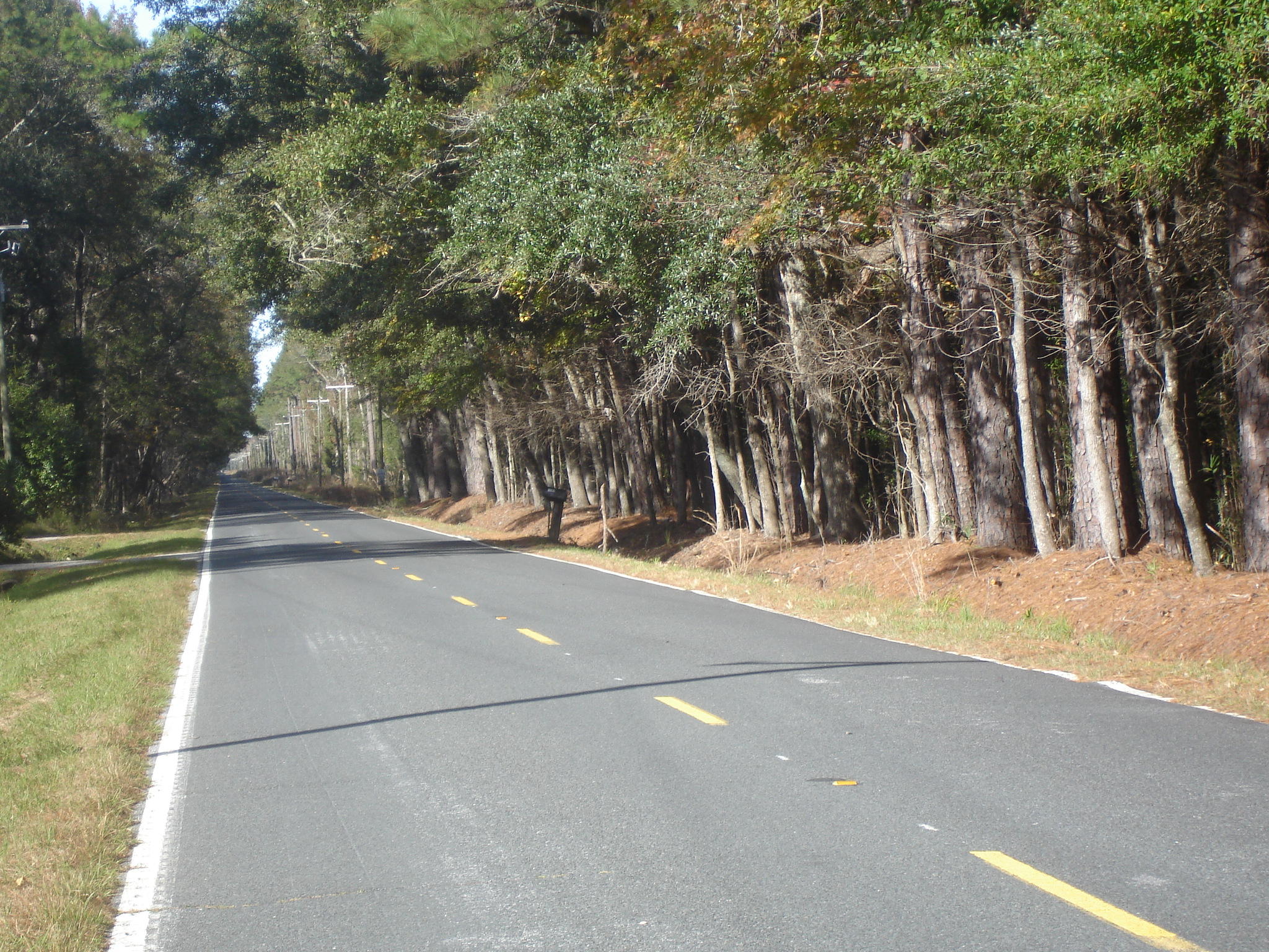 6177 Parkers Ferry Road Adams Run, SC 29426 - Photo 1 of 9 Parkers Ferry 36 acres (2)