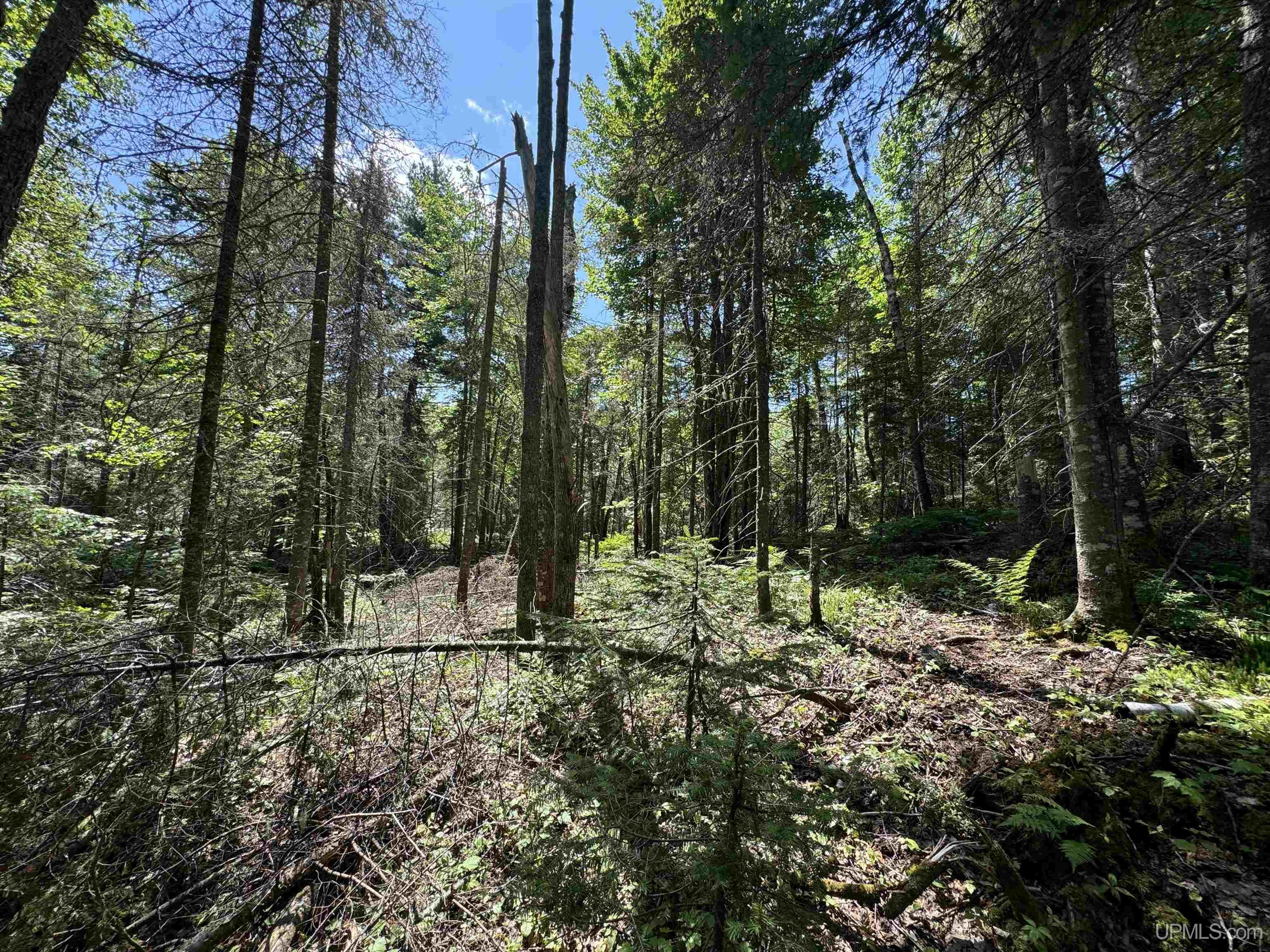 10 Acres Sec34 Road Ishpeming, MI 49849 - Photo 4 of 6