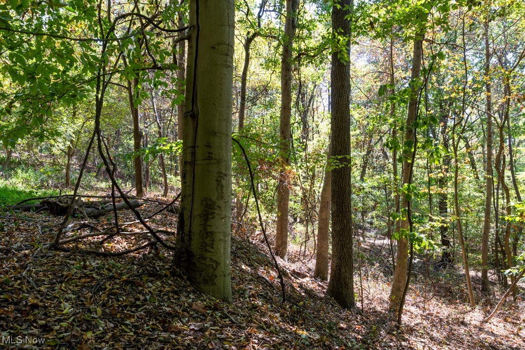 7281 Crowder Road Southwest Sherrodsville, OH 44675 - Photo 34 of 36 View of nature