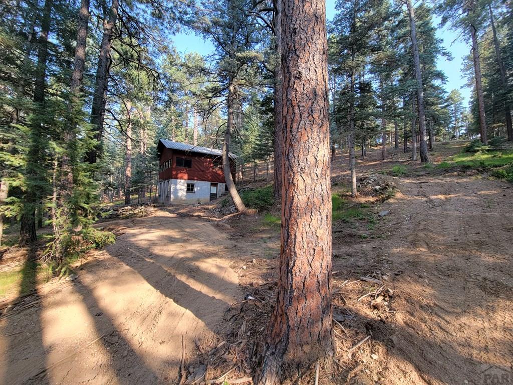 8335 Zorn Road Rye, CO 81069 - Photo 42 of 49