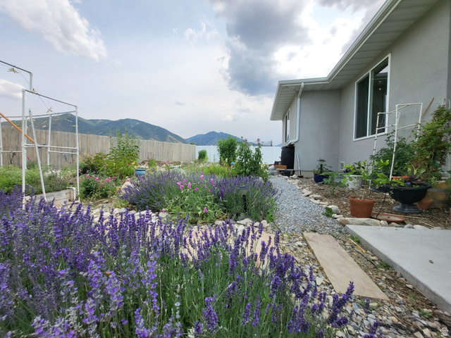 683 Kings Landing Tooele, UT 84074 - Photo 36 of 39 Landscaped garden featuring vibrant purple flowering plants, a gravel pathway, and a stucco exterior with white-framed windows