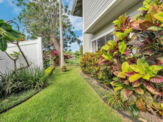 a view of a flower in a garden