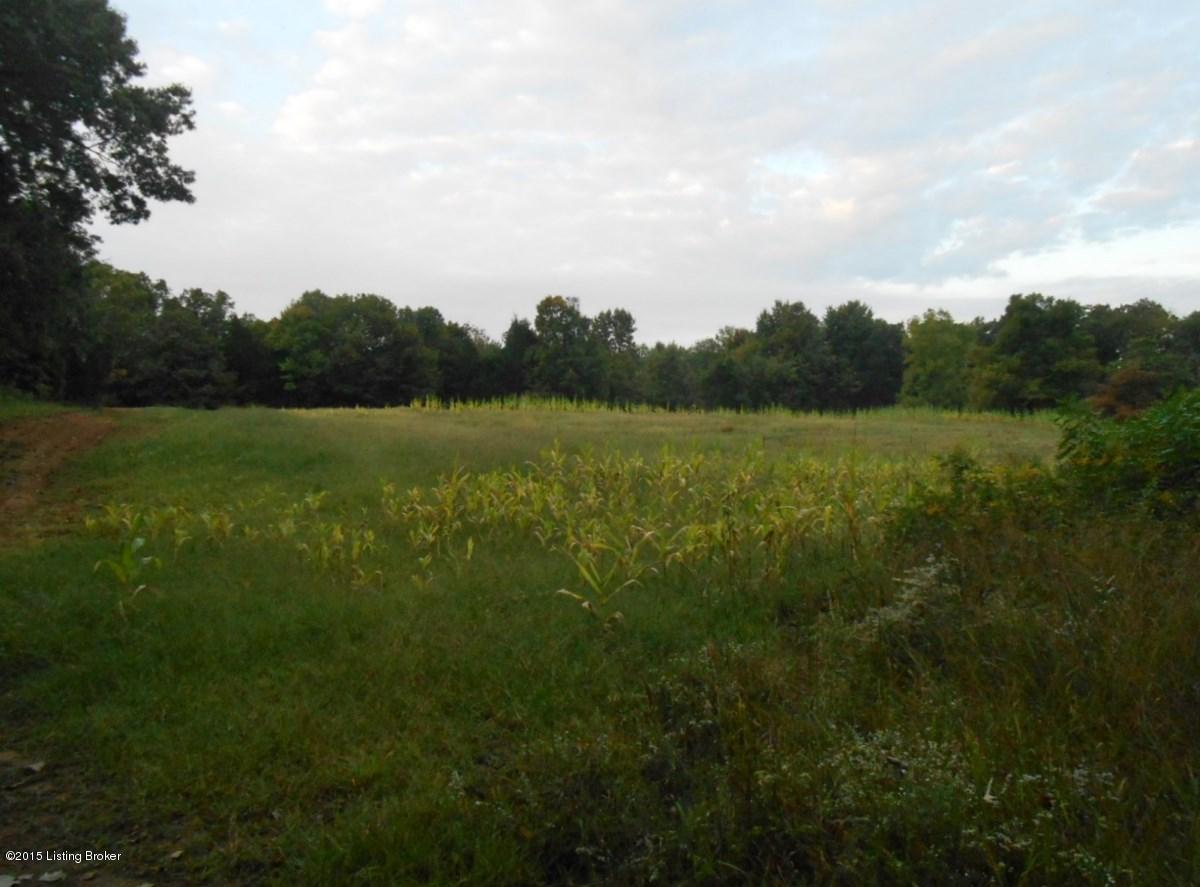 3639 Church Of God Road Custer, KY 40115 - Photo 20 of 31 DSCN8190