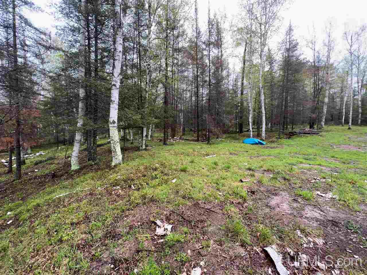 370 South Shore Road Crystal Falls, MI 49920 - Photo 4 of 9