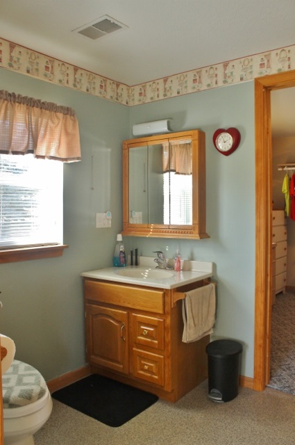 10675 West Washington Road Sumner, MI 48889 - Photo 20 of 39 1825344-19.JPG