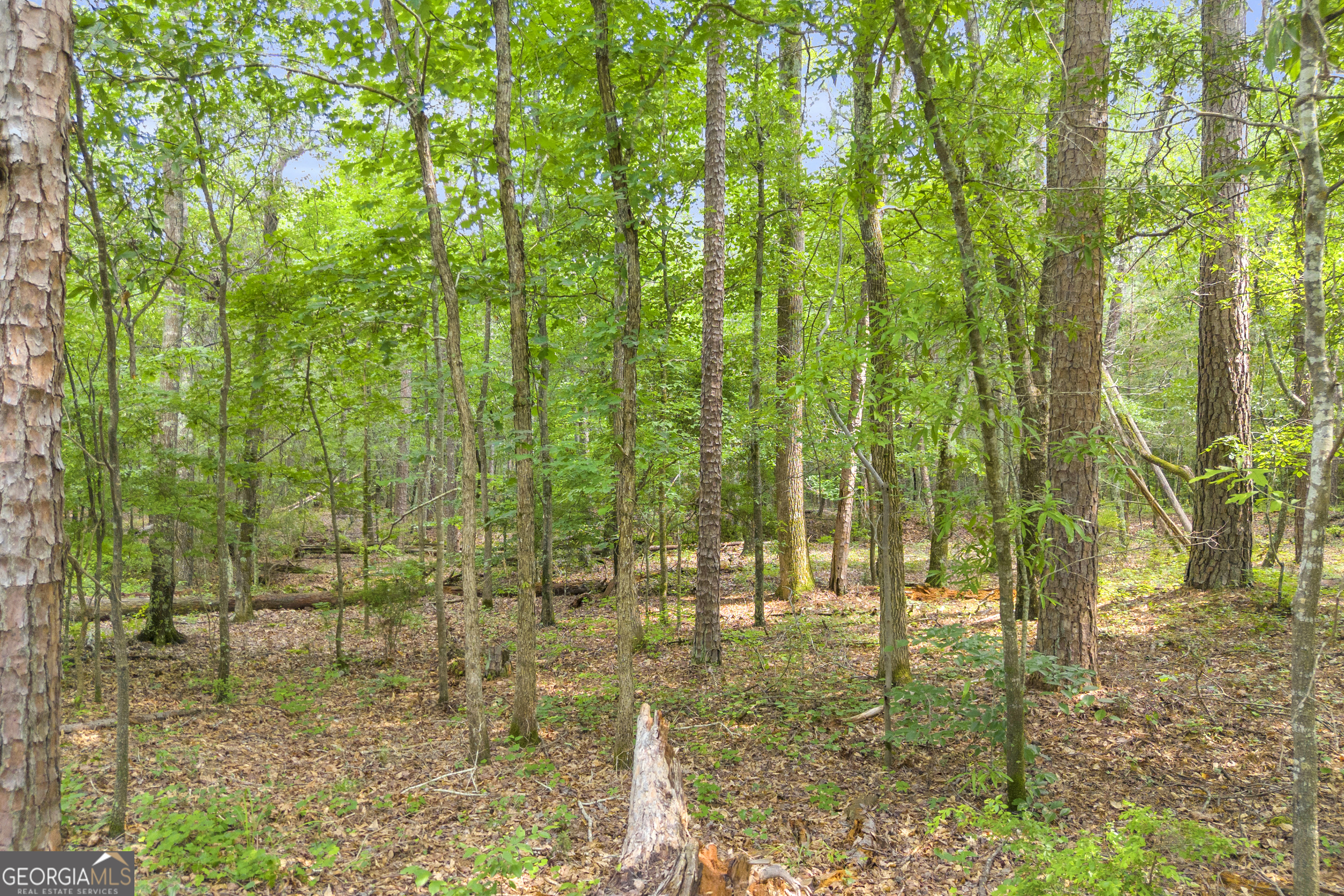1655 Cleveland Road Bogart, GA 30622 - Photo 5 of 19