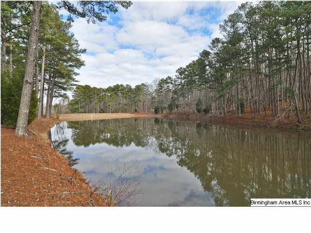 7621 Mack Hicks Road Pinson, AL 35126 - Photo 2 of 32