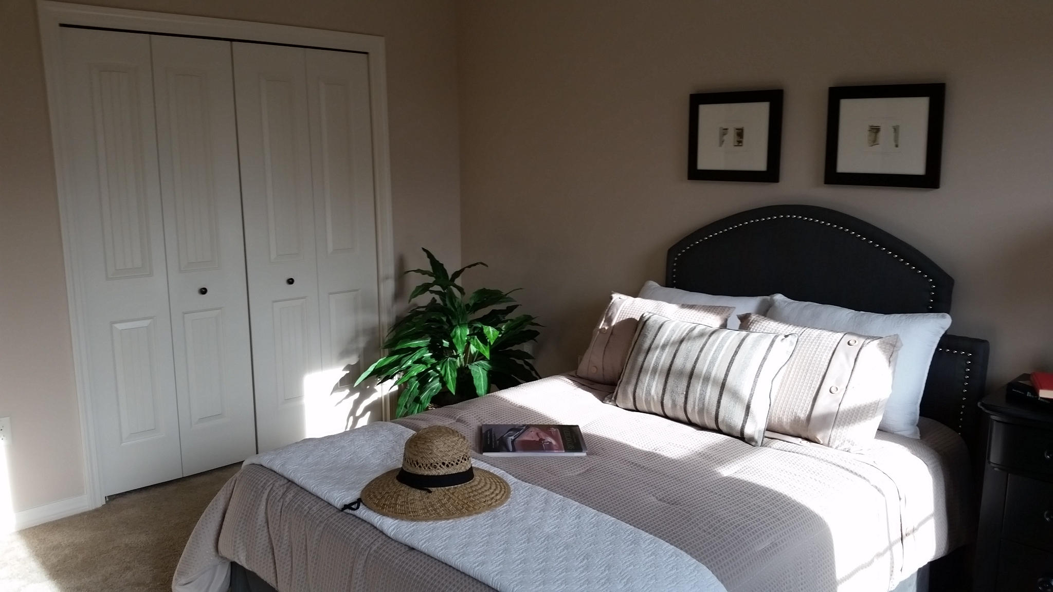 205 Rigdon Court Northwest Fort Walton Beach, FL 32548 - Photo 41 of 48 a bedroom with a bed and a potted plant