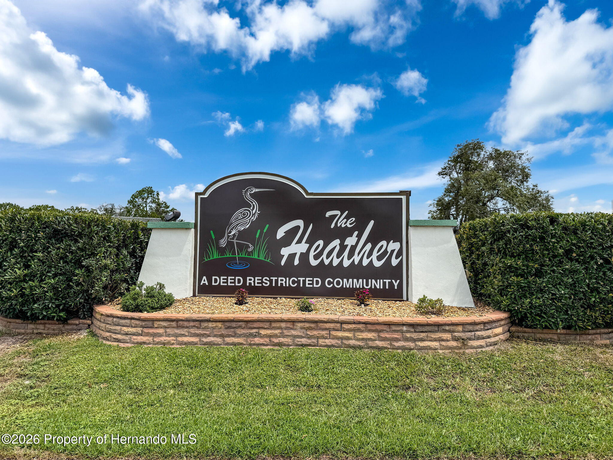 9127 Lingrove Road Weeki Wachee, FL 34613 - Photo 65 of 90